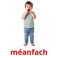 méanfach Tarjetas didacticas