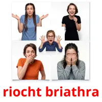 riocht briathra Tarjetas didacticas