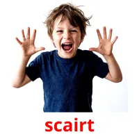 scairt Tarjetas didacticas