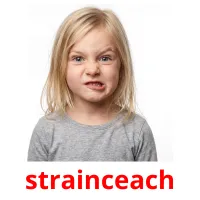 strainceach Tarjetas didacticas