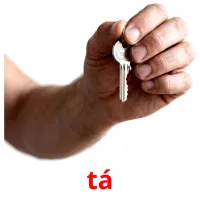 tá Tarjetas didacticas
