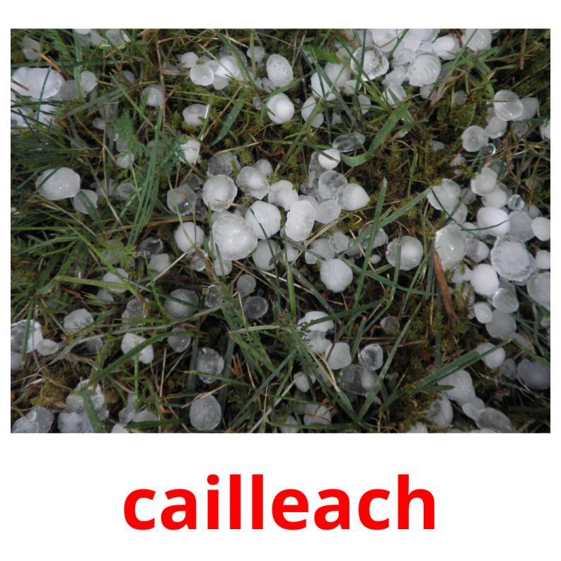 cailleach picture flashcards