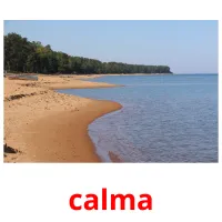 calma picture flashcards