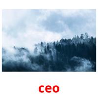 ceo picture flashcards
