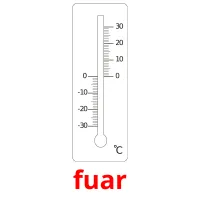 fuar picture flashcards