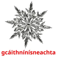 gcáithnínísneachta picture flashcards