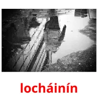 locháinín picture flashcards