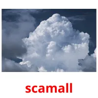 scamall picture flashcards