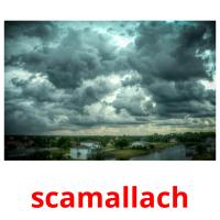scamallach picture flashcards
