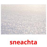 sneachta card for translate