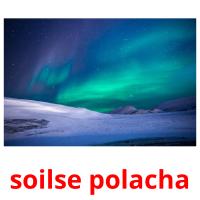 soilse polacha card for translate