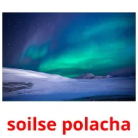 soilse polacha picture flashcards