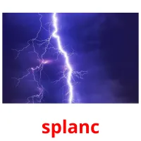 splanc picture flashcards