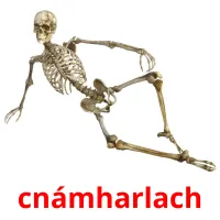 cnámharlach picture flashcards