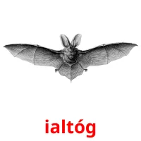 ialtóg picture flashcards
