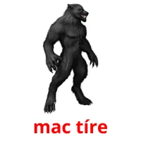 mac tíre picture flashcards