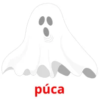 púca picture flashcards