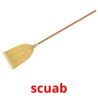 scuab picture flashcards
