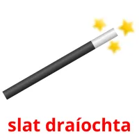 slat draíochta picture flashcards
