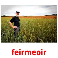 feirmeoir bildkort för barn