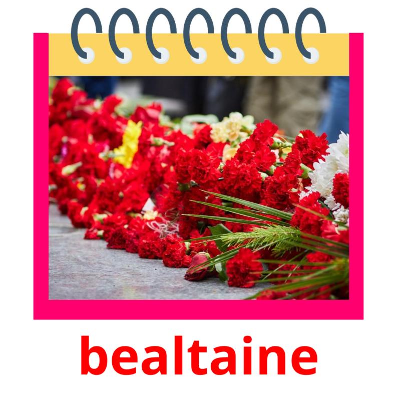 bealtaine picture flashcards