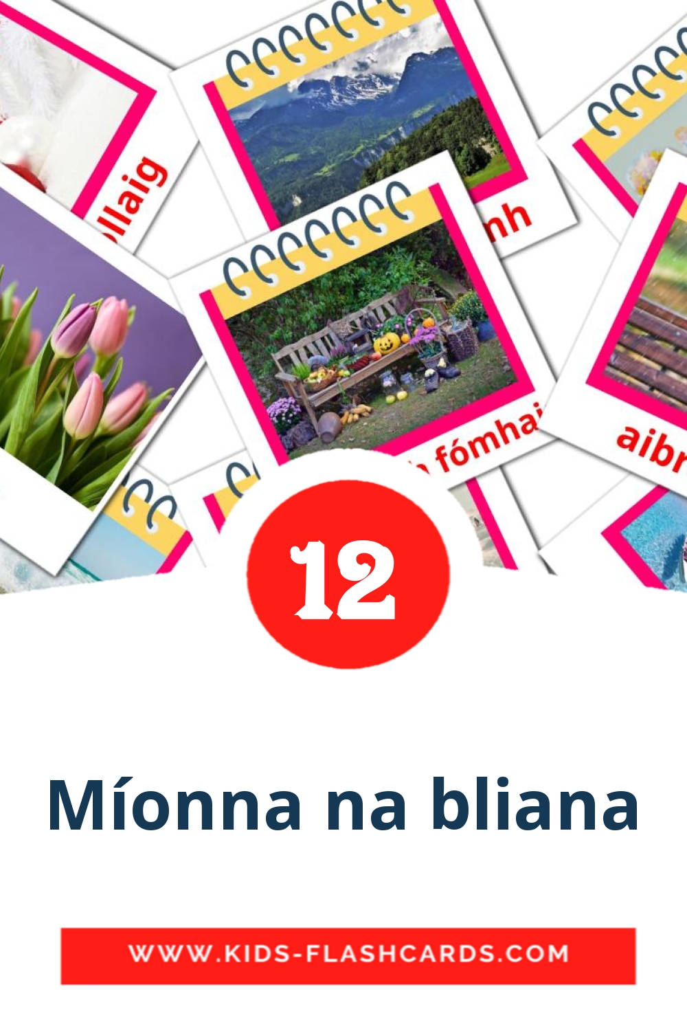 12 tarjetas didacticas de Míonna na bliana para el jardín de infancia en irlandés