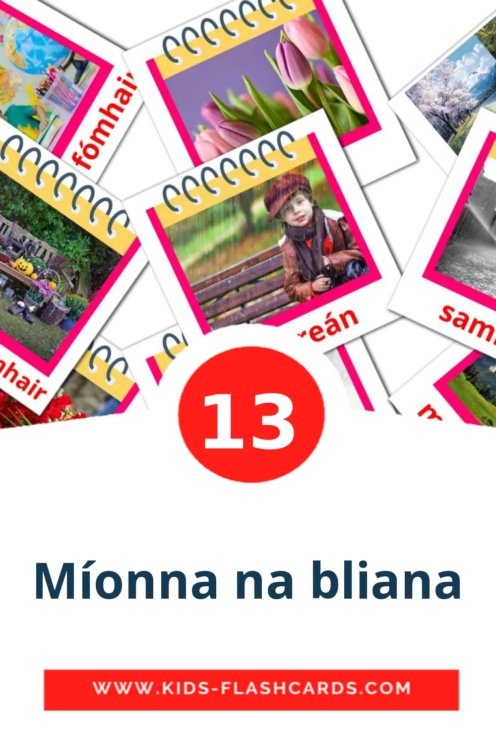 13 Míonna na bliana Picture Cards for Kindergarden in irish