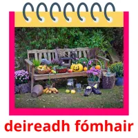 deireadh fómhair picture flashcards