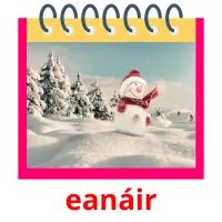 eanáir picture flashcards