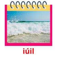 iúil picture flashcards