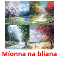 Míonna na bliana picture flashcards