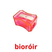 bioróir picture flashcards