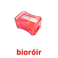 bioróir picture flashcards