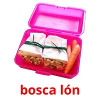 bosca lón picture flashcards