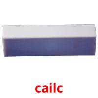 cailc picture flashcards