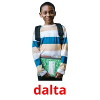 dalta picture flashcards