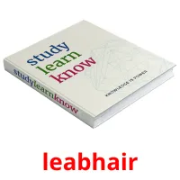 leabhair picture flashcards