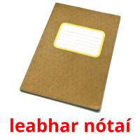 leabhar nótaí cartes flash
