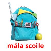 mála scoile picture flashcards