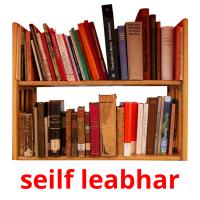 seilf leabhar flashcards illustrate