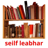 seilf leabhar picture flashcards