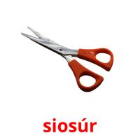 siosúr picture flashcards