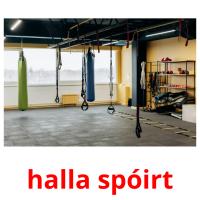 halla spóirt picture flashcards