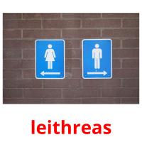 leithreas picture flashcards