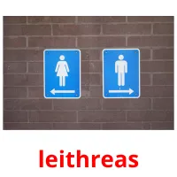 leithreas picture flashcards