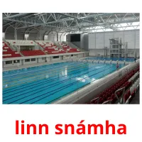 linn snámha picture flashcards