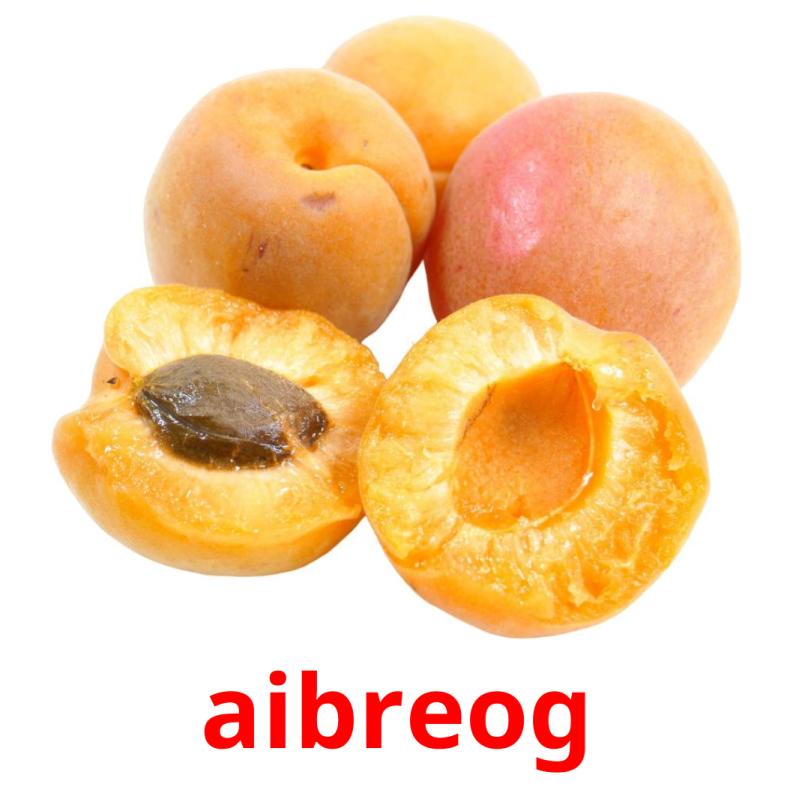 aibreog picture flashcards