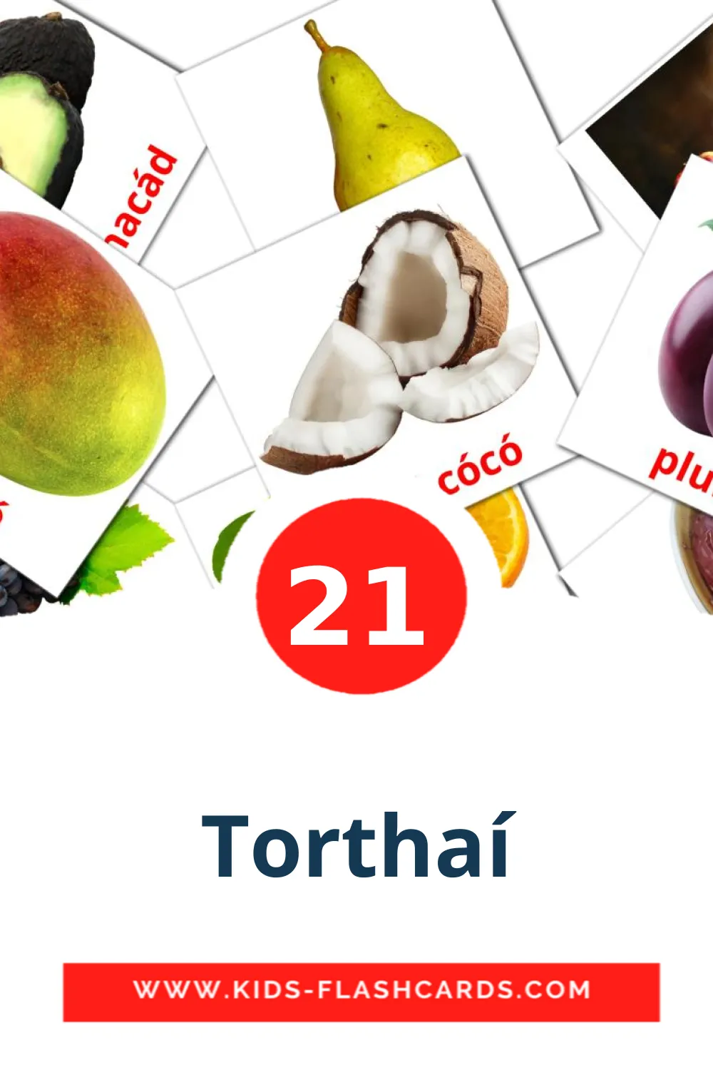 21 Torthaí Picture Cards for Kindergarden in irish