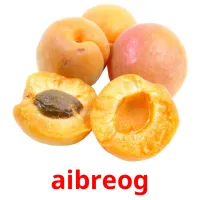 aibreog picture flashcards