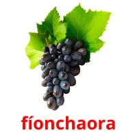 fíonchaora picture flashcards